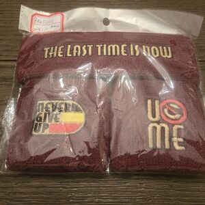 WWE John Cena Wristbands and Towel Bundle